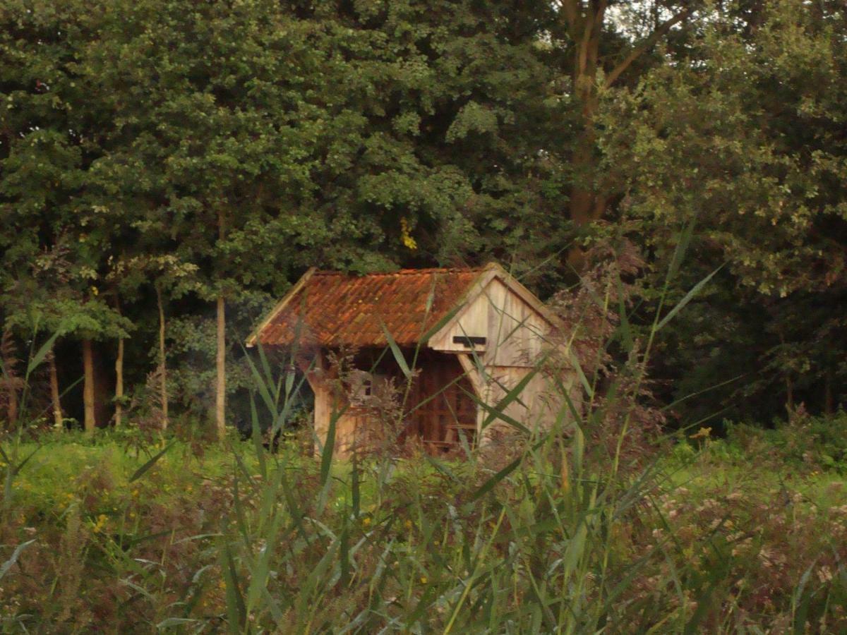 Bed And Breakfast De Boerderij Albergen Exteriör bild